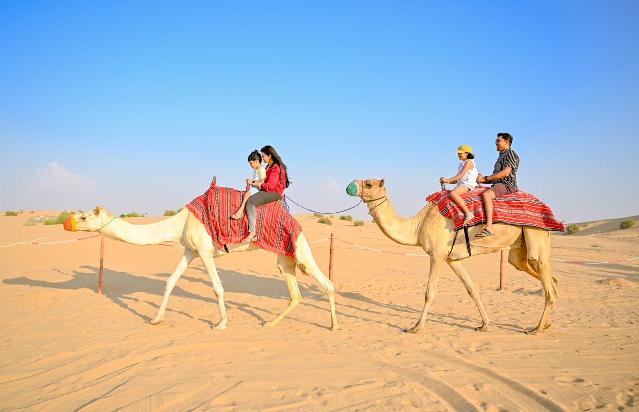 Best Desert Safari in Dubai for Families with Toddlers